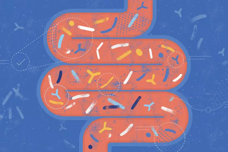 Microplastics Found in Human Guts Linked to Serious Health Risks: New UK Study Reveals