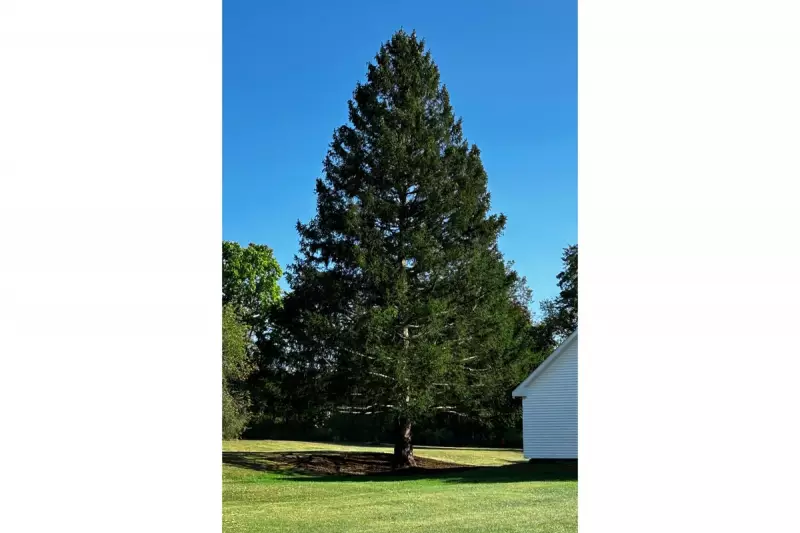 Multi-Million Dollar Swarovski Crystal Heist Foiled in Dramatic New York Police Operation