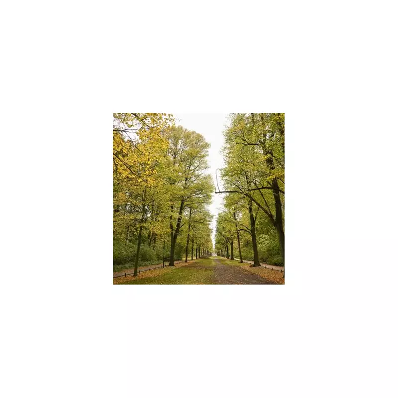 Mysterious 'X' Marks on Trees Spark National Security Alert Across UK Woodlands