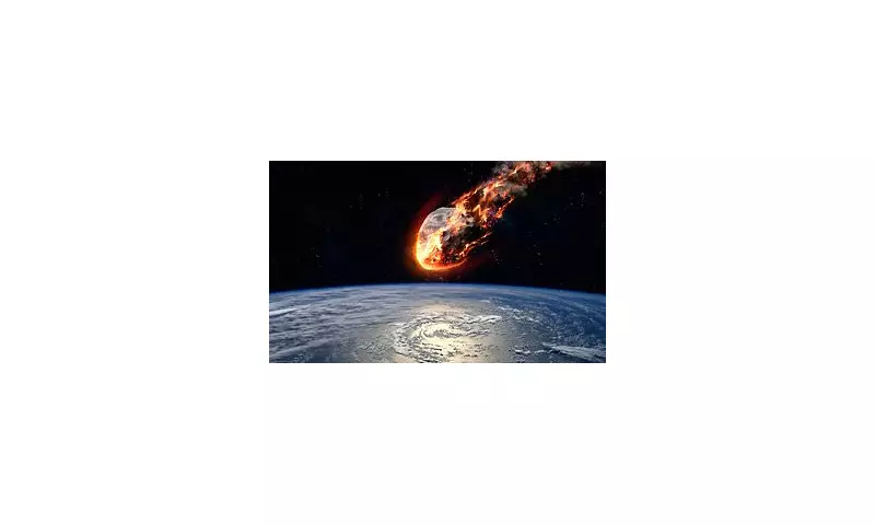 New Mexico's Dinosaur Graveyard: Fossil Discovery Reveals Final Moments Before Asteroid Apocalypse