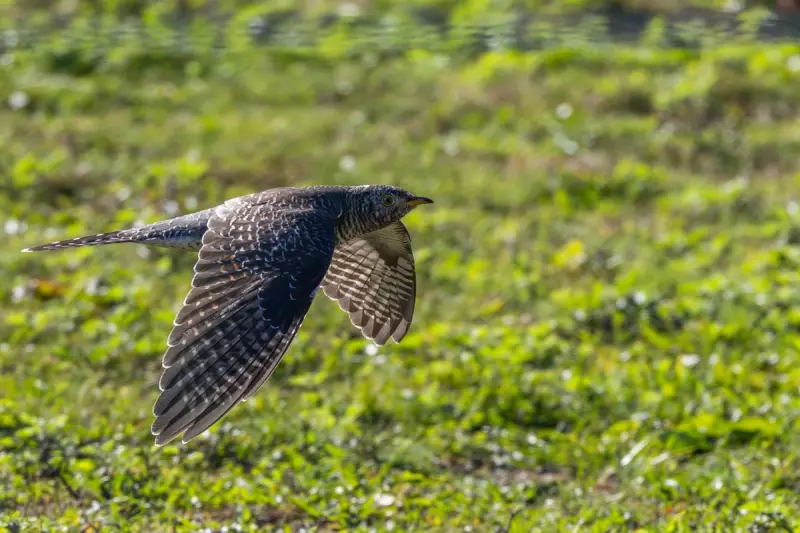 New York City Sinking Under Weight of Skyscrapers, Study Reveals