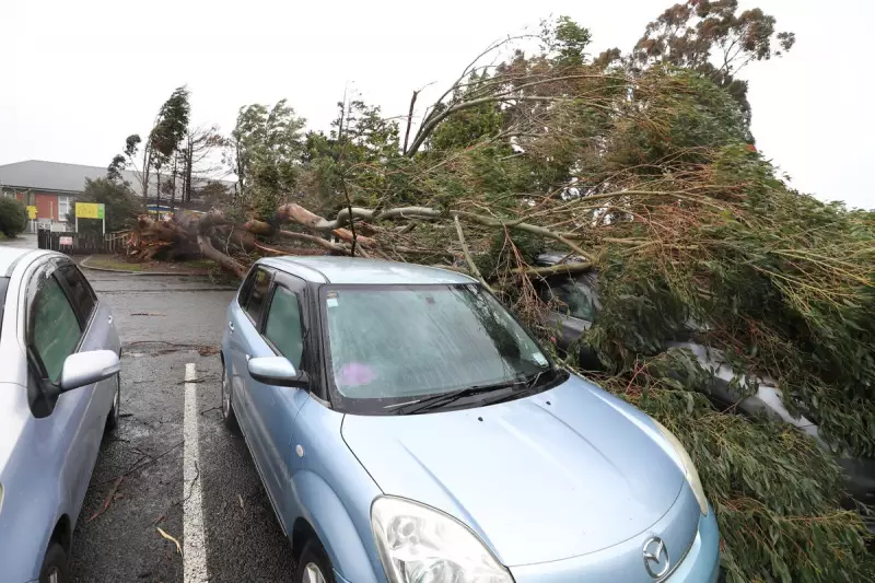 New Zealand Travel Chaos: Severe Storm Grounds Flights and Unleashes Havoc