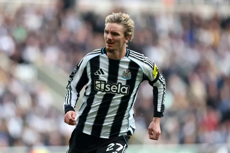 Newcastle United vs Benfica: Champions League Clash - How to Watch Live Stream, TV Channel & Team News