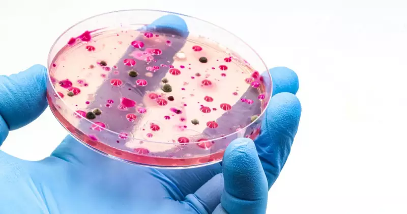 NHS Hospitals Across England Battle New 'White Lung' Pneumonia Outbreak