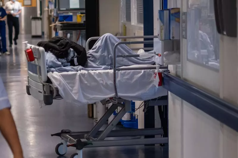 NHS in Peril: Senior Doctors Issue Dire Warning Over Patient Safety Crisis
