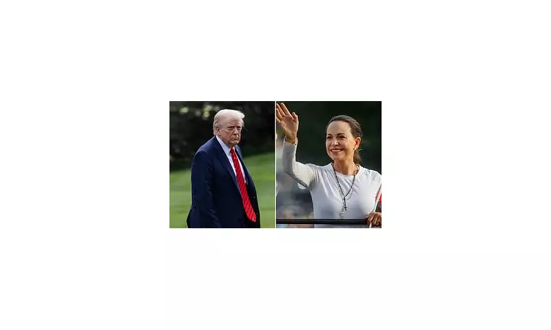 Nobel Peace Prize Betting Scandal: Investigation Launched After Unknown Candidate Beats Trump