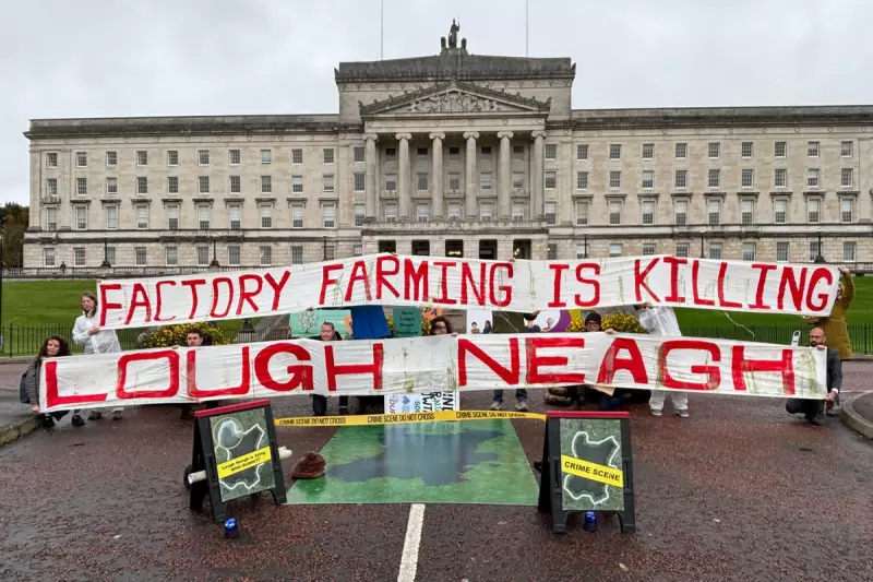 Northern Ireland Faces Environmental Crisis as Watchdog Delay Sparks Outrage