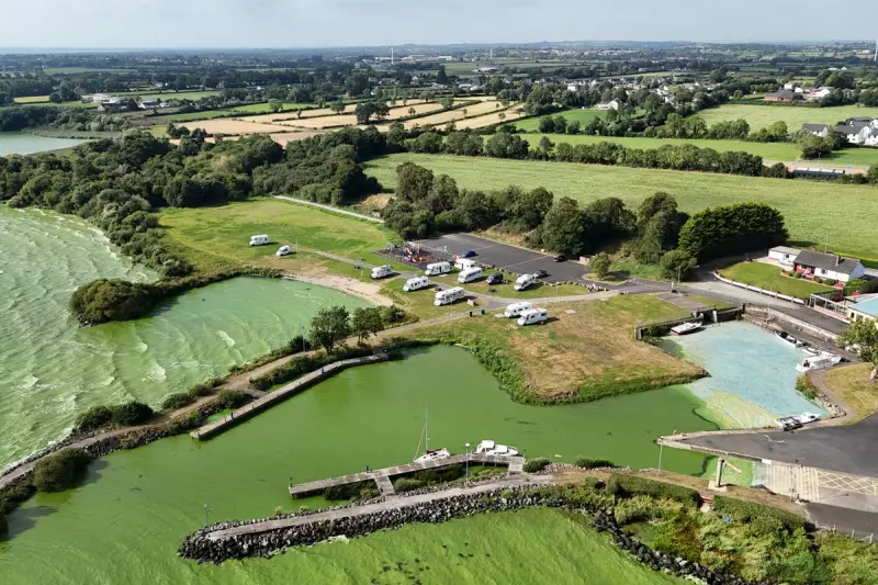 Northern Ireland's Environmental Crisis: Audit Office Exposes Alarming Governance Failures