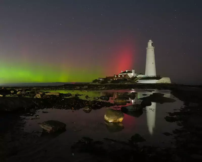 Northern Lights Dance with Bellowing Stag in Spectacular UK Display | Nature's Theatre
