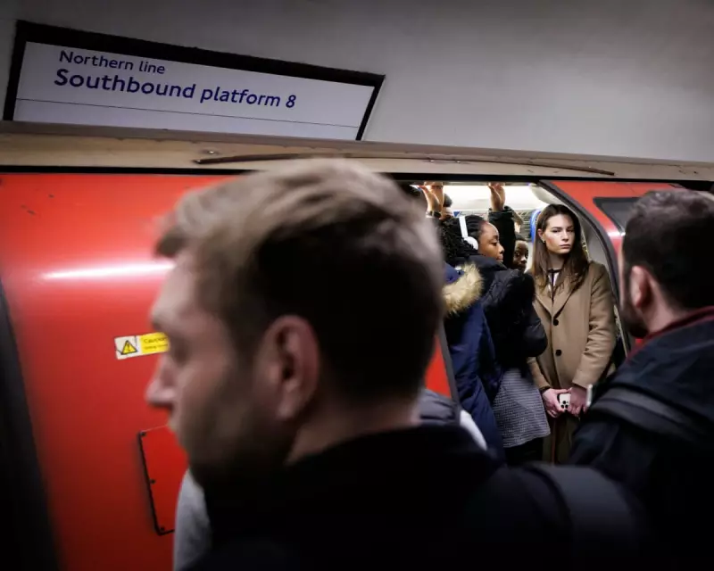 Northern Line Mystery: Engineers Stumped by Persistent Signalling Failures