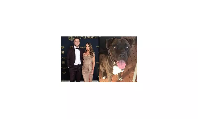 NRL Star Faces Legal Battle After Vicious Dog Attack Leaves Man Seeking Justice