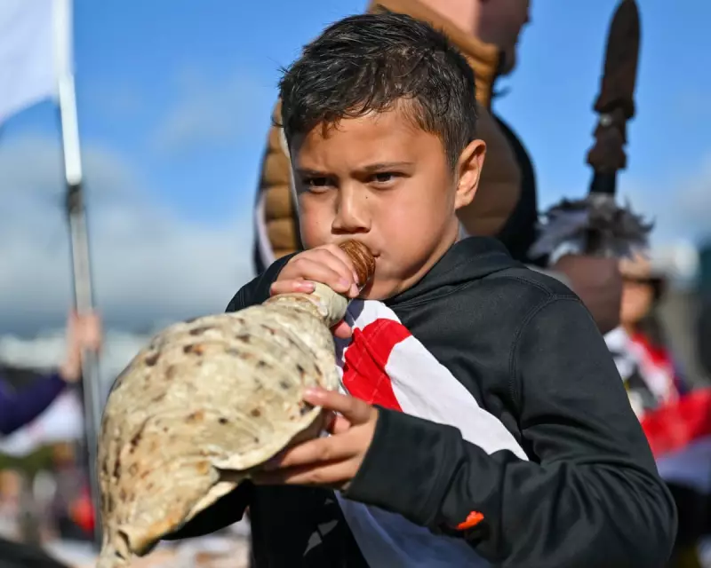 NZ Government Slashes Guaranteed Māori Council Seats in Controversial Overhaul