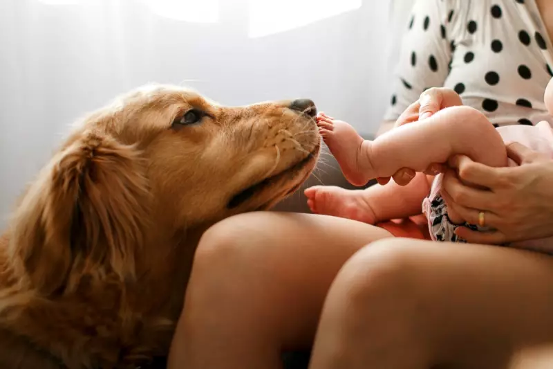 Paws for Thought: How Owning a Dog Could Slow Ageing and Boost Your Health