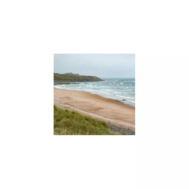 Pembrokeshire's Hidden Gem: Discover the Breathtaking Beaches That Rival the Caribbean