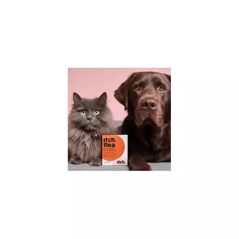 Pet Owners Rejoice: This Vet-Approved Flea Treatment Is Now Just £7 at The Range