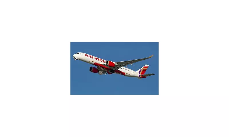 Pilot's Bizarre Logbook Entry: 'Killed Cockroach Hanging From Cockpit' Sparks Aviation Debate