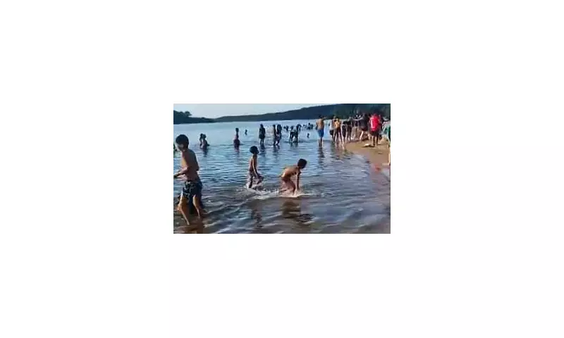 Piranha Frenzy in Swiss Lake: Seven Swimmers Mauled Including Baby Who Lost Toe