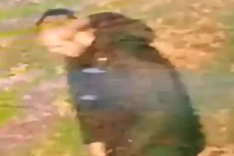 Police Hunt Two Men After Distressing Sexual Assault in Walsall Park
