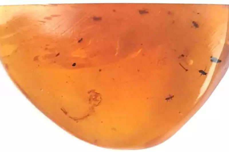 Prehistoric Bloodsucker Found: Mosquito Larva Discovered in 100-Million-Year-Old Amber