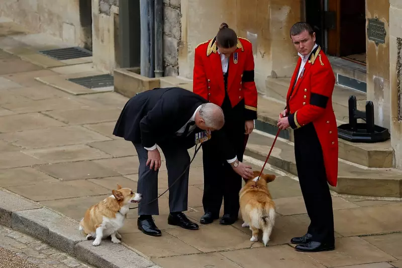 Prince Andrew and Ex-Wife Sarah Ferguson Inherit Queen's Beloved Corgis at Royal Lodge