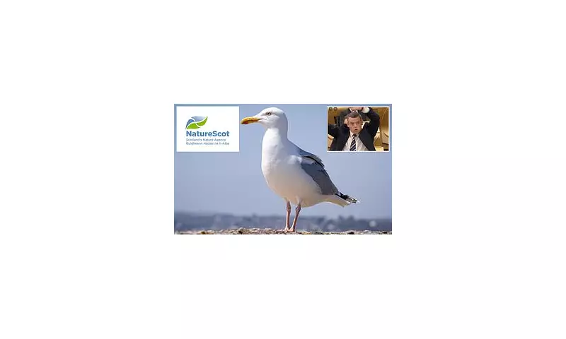 Quango's Bizarre £5m Pest Control: Googly Eyes and Arm-Waving Instead of Traditional Methods