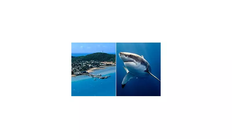 Queensland Shark Horror: Fisherman Killed in Brutal Attack Near Thursday Island
