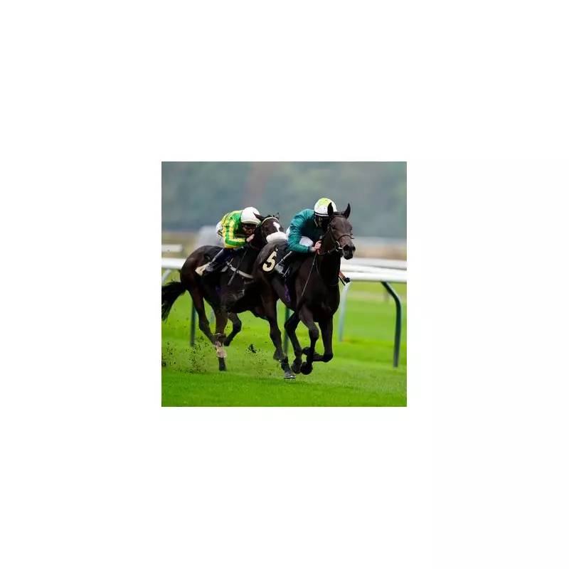 Racing Expert's NAP of the Day: This 5/2 Shot Could Gallop to Victory at Nottingham