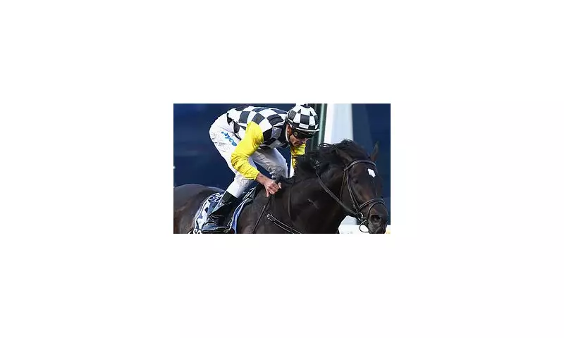 Racing World Stunned as Dual Cox Plate Champion Dies at Age 30