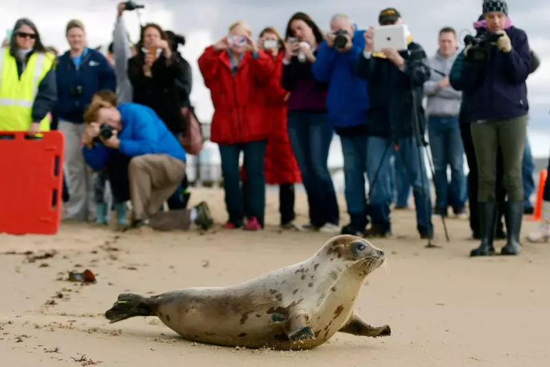 Red List Crisis: Over 45,000 Species Now Face Extinction Threat