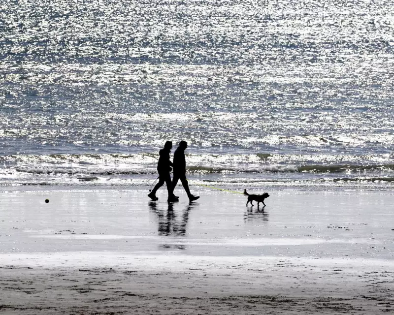 Reform UK's Kent Surge: How Economic Despair is Reshaping British Politics