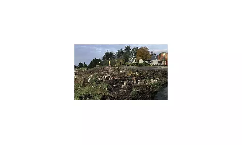 Restaurant Owners Felled 80 Trees for Car Park - But Got More Than They Bargained For
