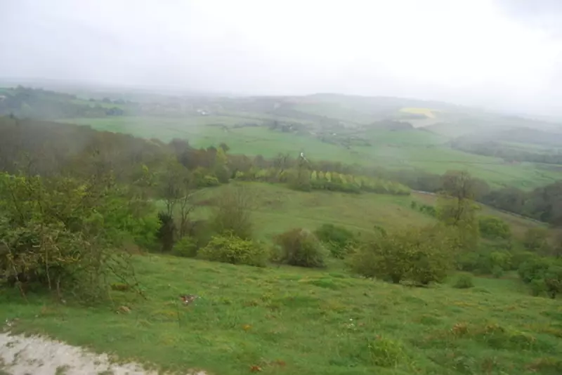 Revealed: The Sussex Property Hotspots Where House Prices Are Defying the National Trend