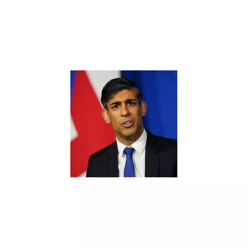 Rishi Sunak's Post-Election Career Takes Off with Lucrative Speaking Circuit and Advisory Roles