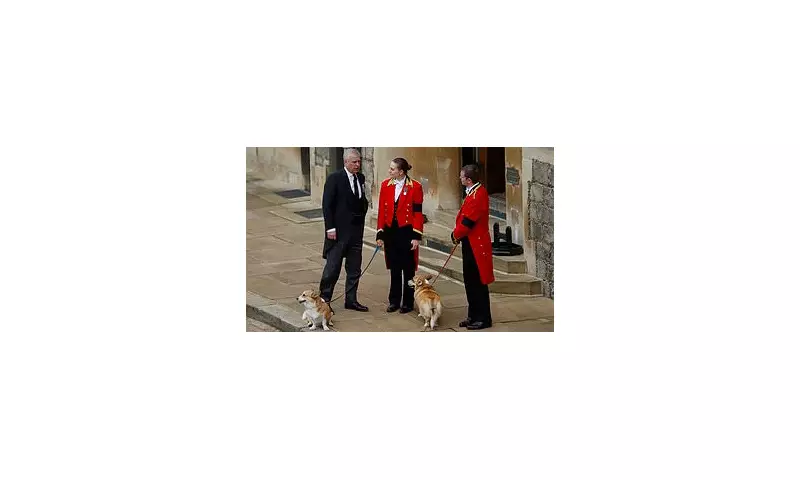 Royal Corgi Update: The Late Queen's Beloved Dogs Remain Under Prince Andrew's Care at Royal Residence