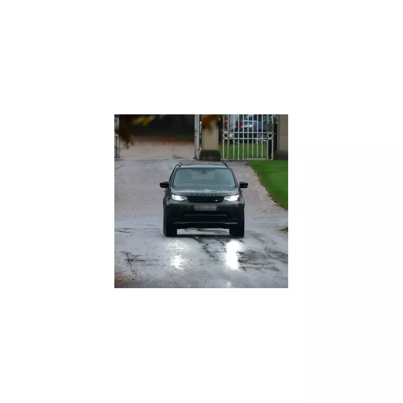 Royal Heartbreak: The Queen's Guards Who Came to See Her Lying in State