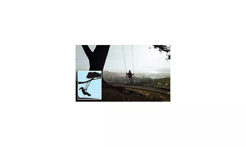 San Francisco's Beloved Rope Swing Faces Removal After Tourist Injury Sparks Safety Fears