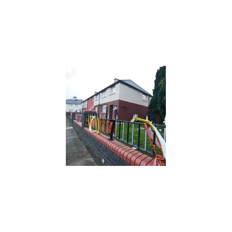 Schoolboy, 10, Miraculously Survives Garden Spike Impalement in Horrific Playtime Accident