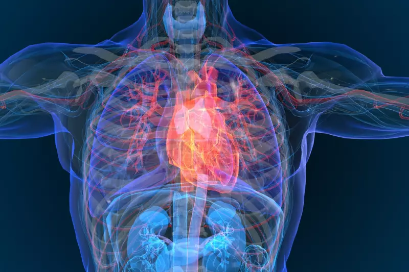 Science Says Your Daily Hot Chocolate Could Boost Heart Health | New Study Reveals