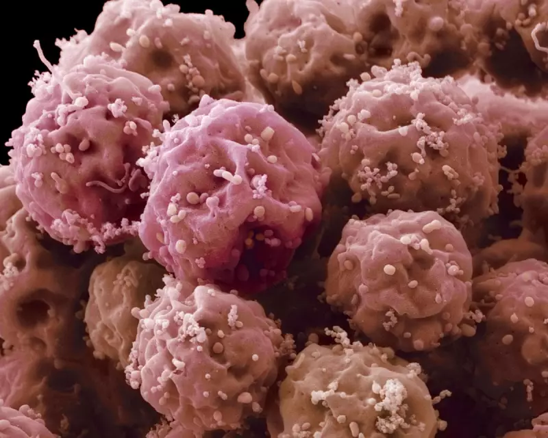 Scientific Breakthrough: Lab-Grown Cells Form Early Human Heart Structure in World First
