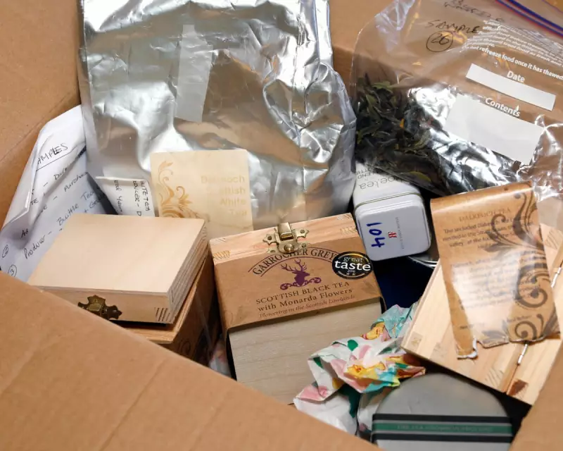 Scottish Tea Revolution: Tam O'Braan's Perthshire Estate Brews UK's First Commercial Tea