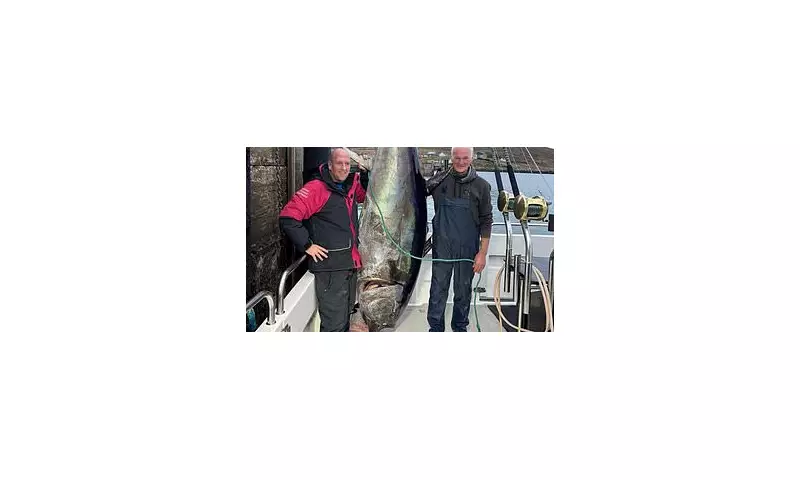 Scottish Tuna Fishermen Face Monster Catch: 'We Need a Bigger Boat!'