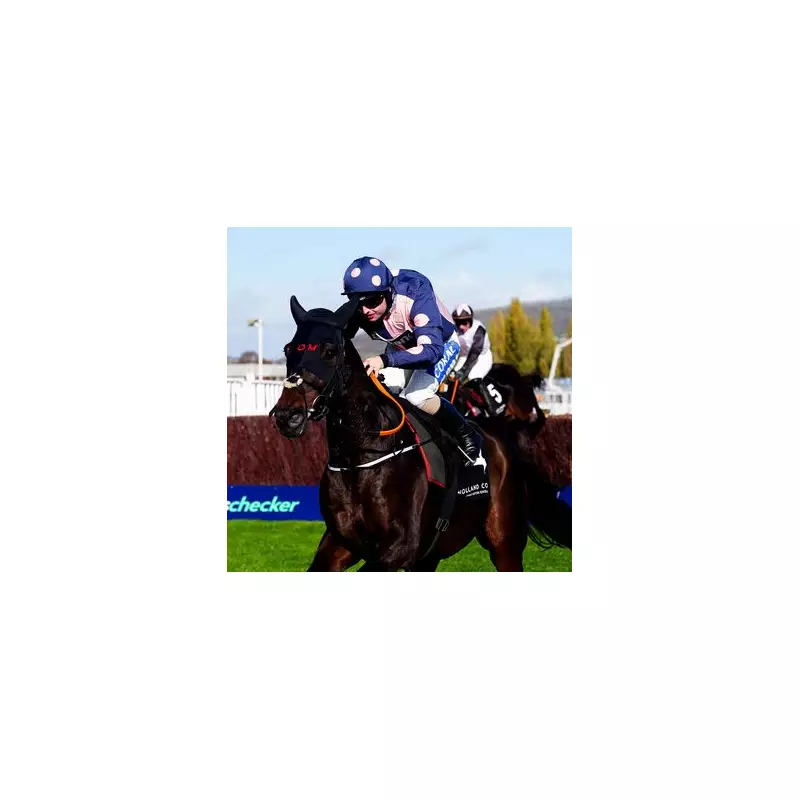 Sean Bowen Smashes McCoy's Record in Stunning Cheltenham Triumph