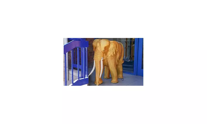 Sheffield Wednesday Owner's Golden Elephant Statues Go Under the Hammer in Bizarre Club Auction
