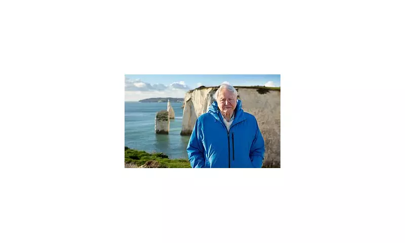 Sir David Attenborough Makes Emmy History at 99, Shattering Dick Van Dyke's Record