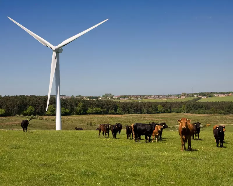 Slash Your Energy Bills: How Local 'Green Clubs' Are Powering UK Households to Big Savings