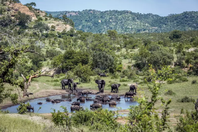South Africa Renames Kruger National Park in Historic Move Away from Colonial Legacy