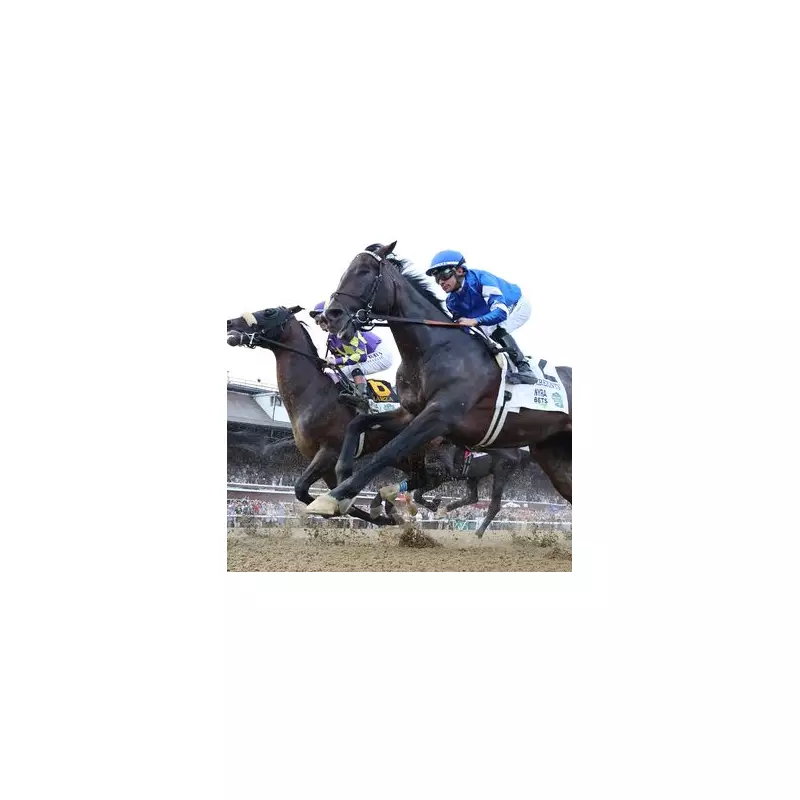 Sovereignty Stuns Breeders' Cup With Sensational Victory - Kentucky Derby Dream Alive