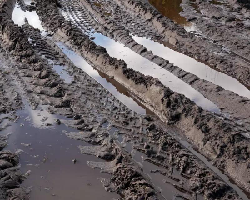 Stuck Lorry Rescue: A 1950s Country Diary Reveals Ingenious Rural Problem-Solving