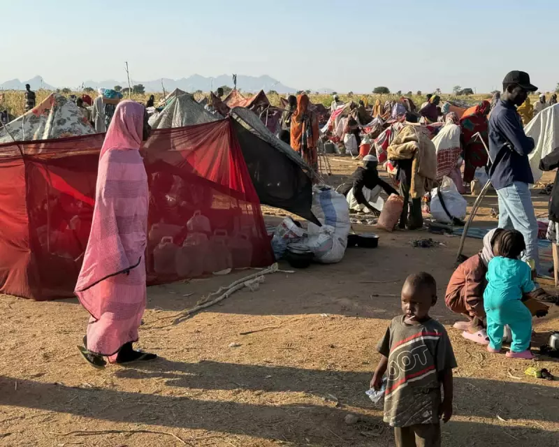 Sudan's El Fasher in Flames: Civilians Massacred in Their Beds as City Falls to RSF