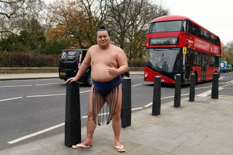 Sumo Spectacle Returns to London: Royal Albert Hall Hosts Historic Tournament